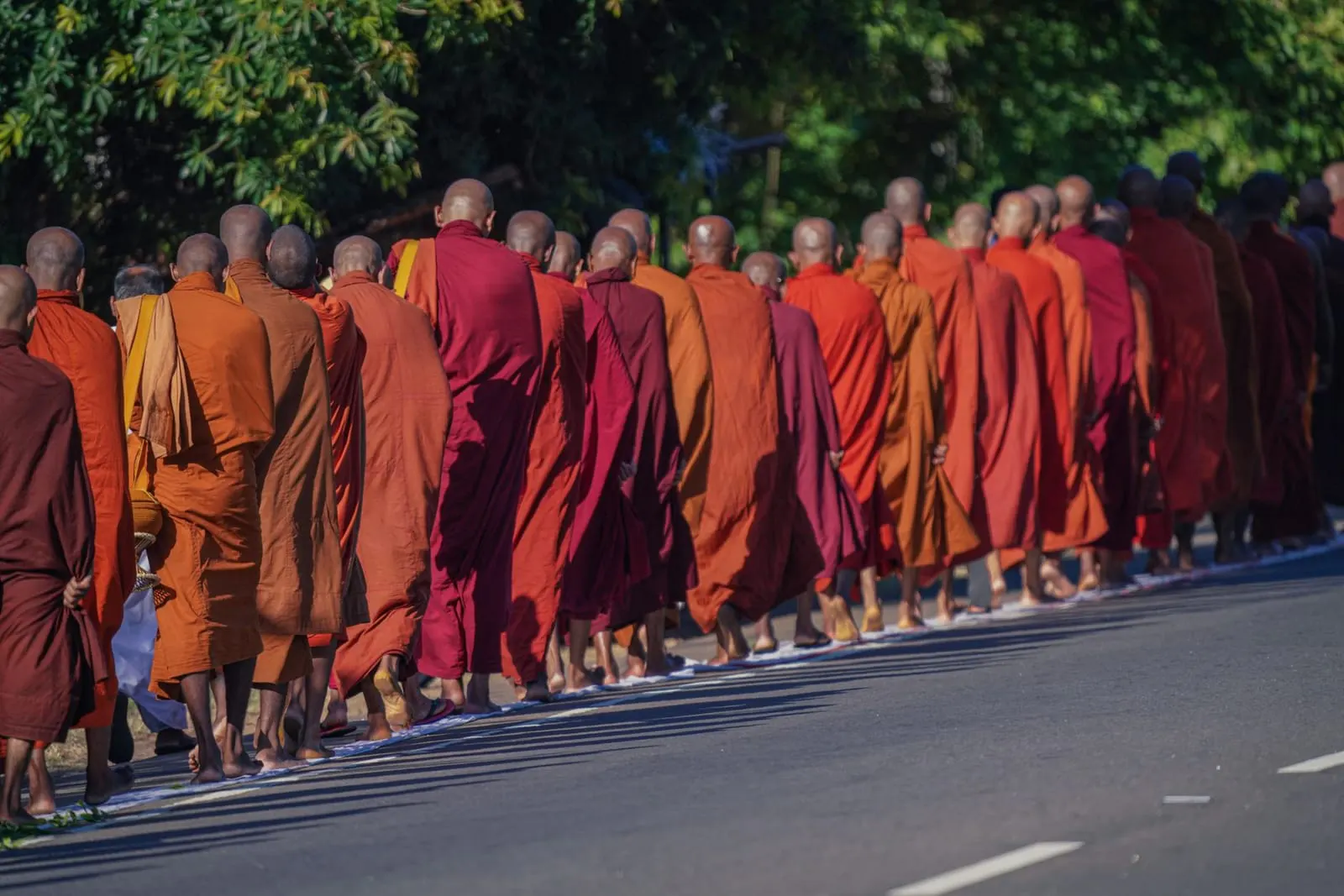 แถวพระสงฆ์เดินบิณฑบาตรับของถวายตอนเช้าตรู่