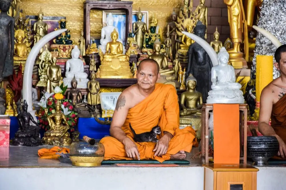พระสงฆ์เดินในวัดไทยยามเช้าวันพระ