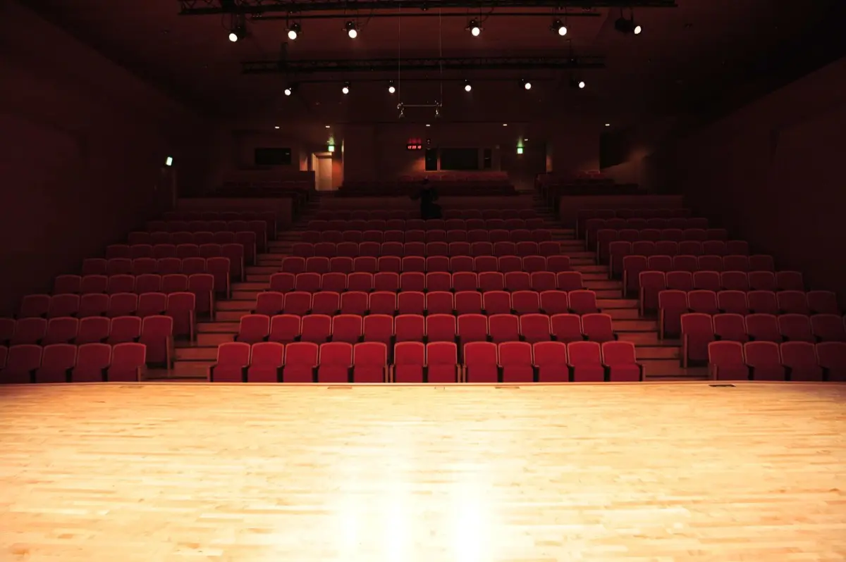 ที่นั่งในโรงคอนเสิร์ตมองจากด้านหลังเห็นผู้ชมเต็มฮอลล์