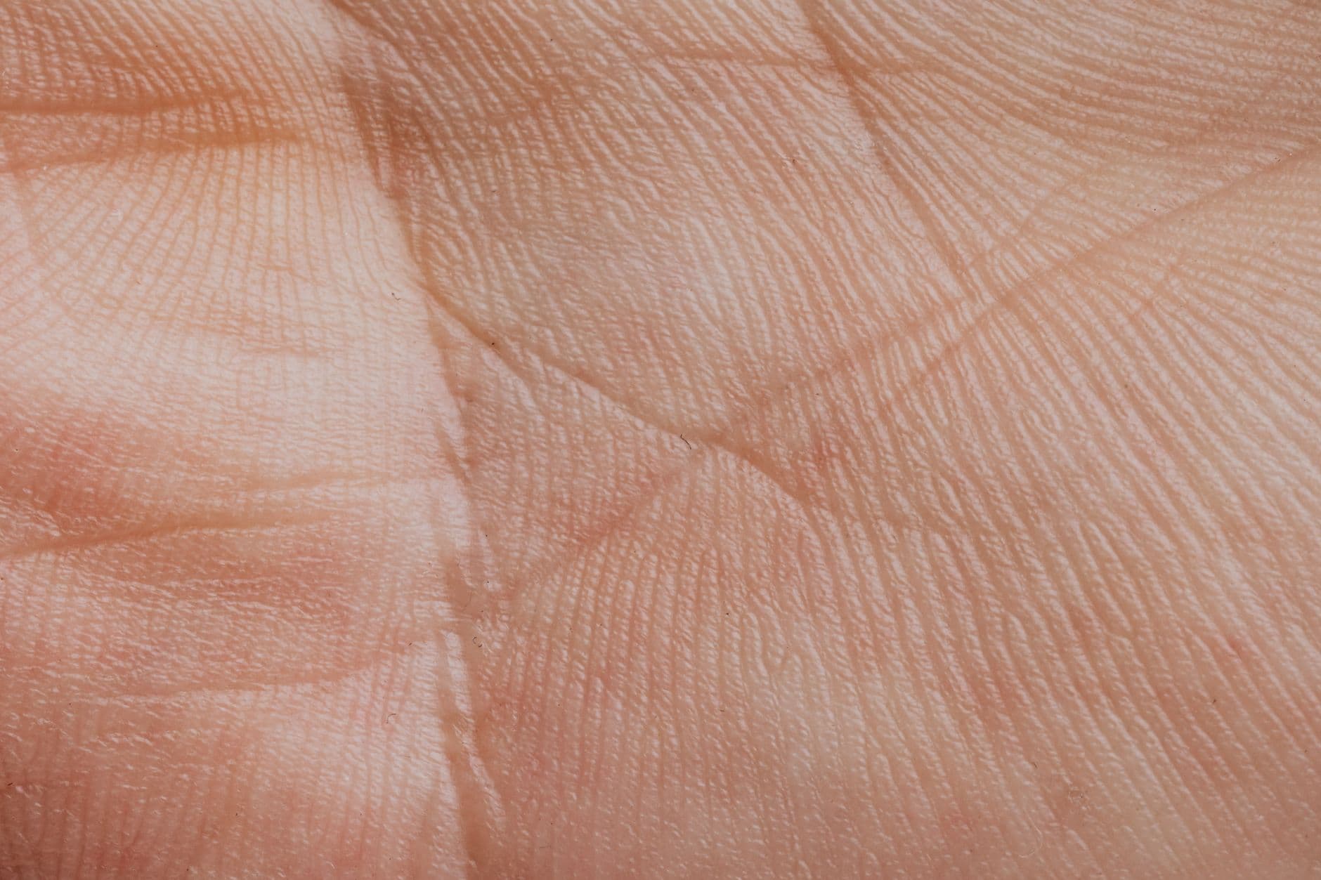 มือถูกยื่นออกมาให้ดูเส้นลายมืออย่างใกล้ชิด