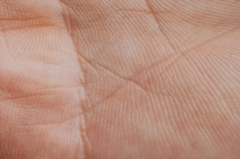 มือถูกยื่นออกมาให้ดูเส้นลายมืออย่างใกล้ชิด